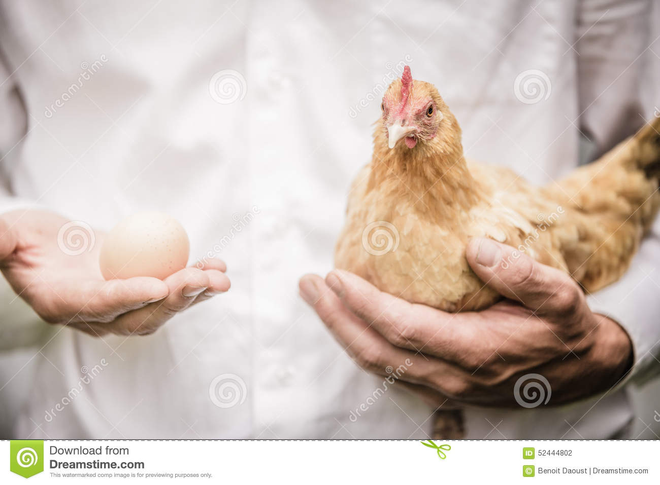 到底是先有鸡还是先有蛋，从科学的角度来解答你