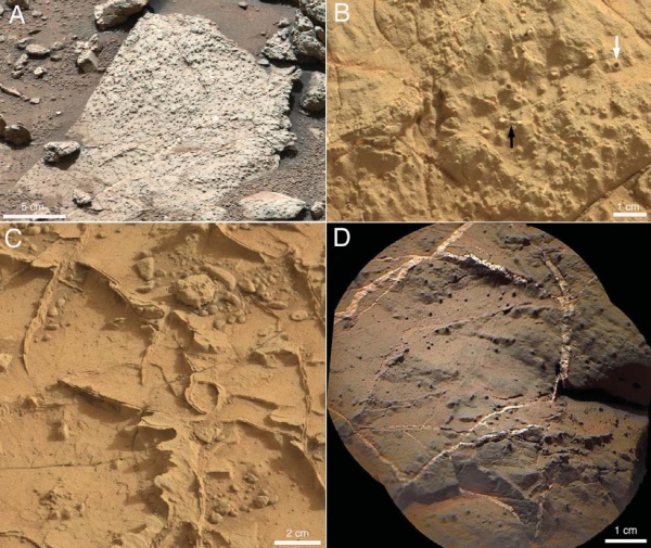 好奇号曾发现火星有长达30英里的湖泊，具备生命生存的条件