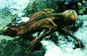世界上被第一个发现的木乃伊奥兹冰人，他的诅咒是真的么