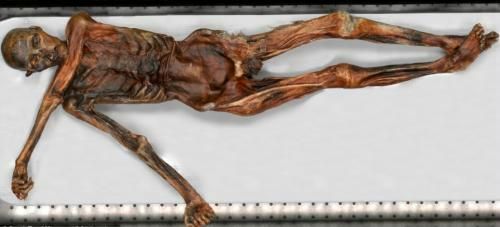 世界上被第一个发现的木乃伊奥兹冰人，他的诅咒是真的么
