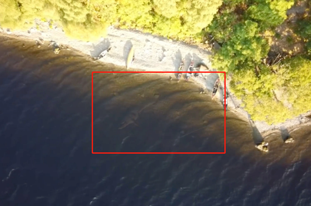 “尼斯湖水怪”再现，轮廓清晰可见！无人机拍下清晰影像